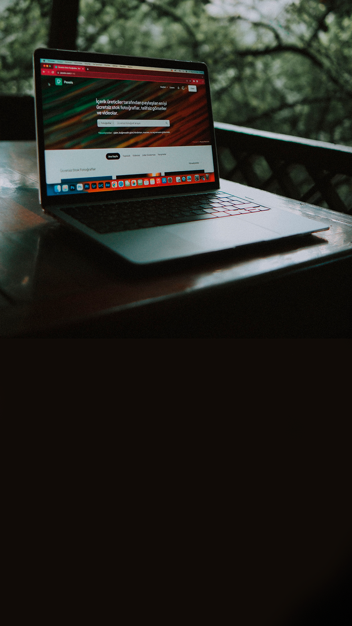Desarrollo Web